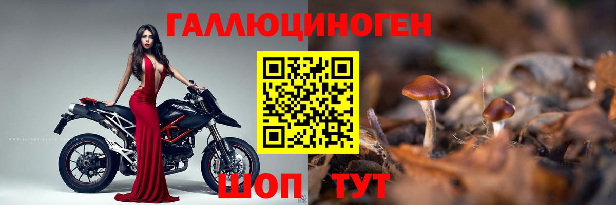 Псилоцибиновые грибы Magic Shrooms  Вход с VPN  что такое наркотик  Бузулук 